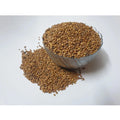 Snuggle Lifestyle Co. Radish Pink Microgreen Seeds – Easy to Grow, Brightens Your Dishes