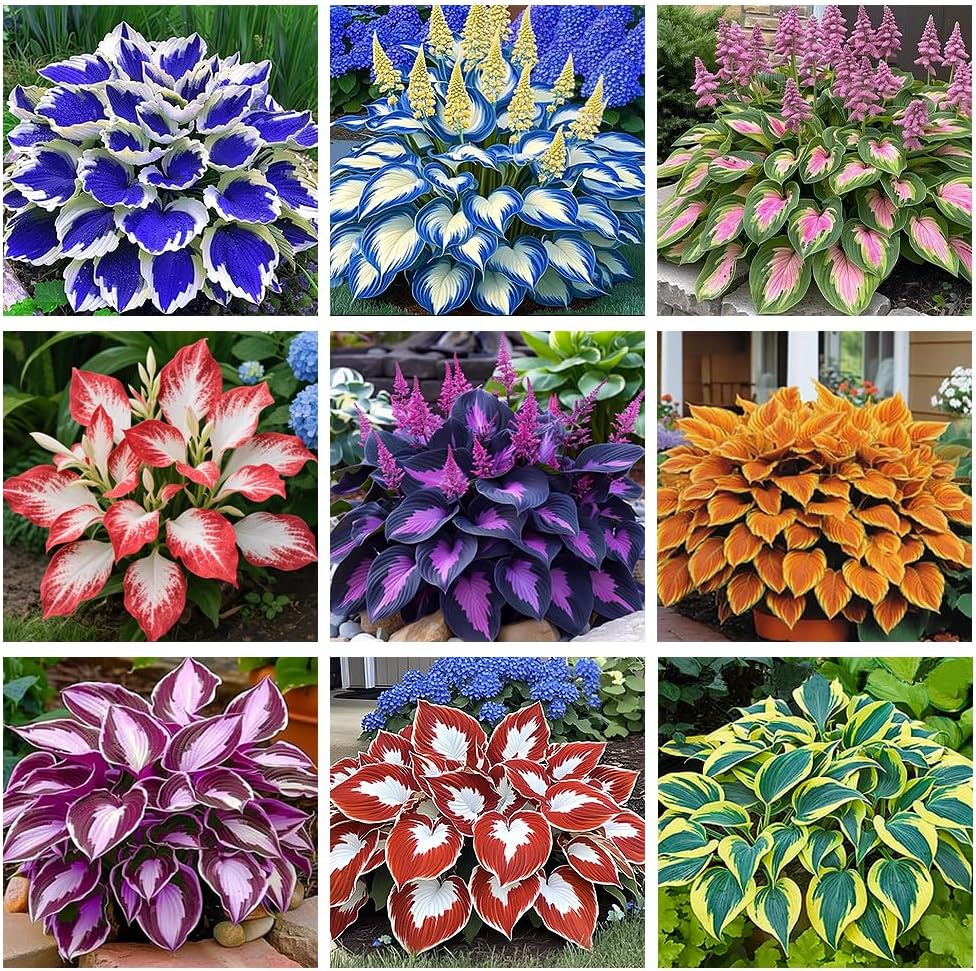 9102