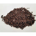 Snuggle Lifestyle Co. Sango Radish Microgreen Seeds – Quick Harvest, Suitable for Any Space
