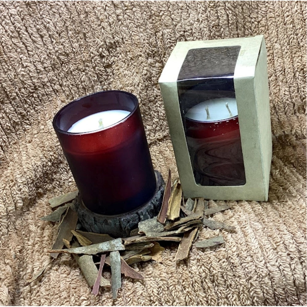 Snuggle Lifestyle Co. Pack Of_1 Soy Wax And Bees Wax Blend Candles Liquid Volume 160